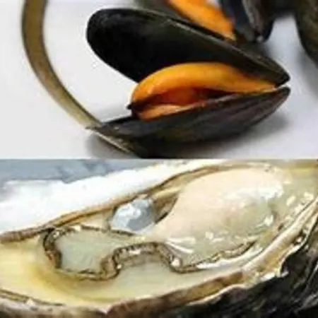 Gite De L'abri-cotier 14 Ferienhaus